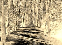 Sepia + Negatyw