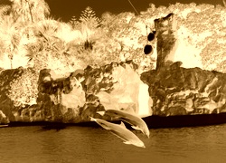 Sepia + Negatyw