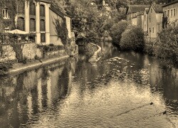 Szary + Sepia
