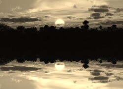 Sepia