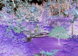 Negatyw