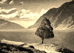 Szary + Sepia