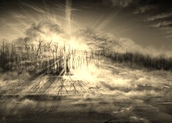 Szary + Sepia
