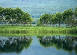 Oryginalny obrazek