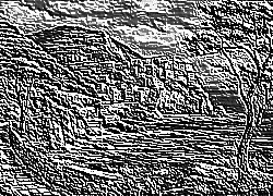 Skamielina