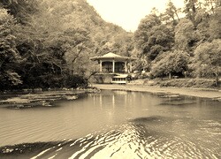Sepia
