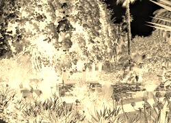 Sepia + Negatyw
