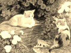 Sepia