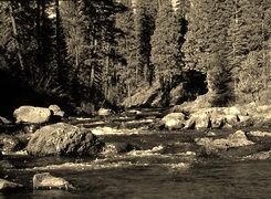 Sepia