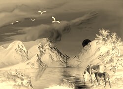 Sepia + Negatyw