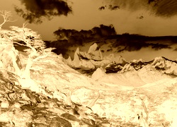 Sepia + Negatyw