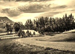 Szary + Sepia