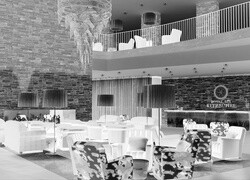 Szary + Negatyw