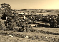 Sepia