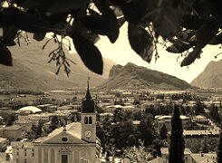 Szary + Sepia