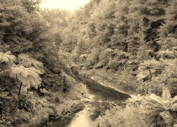 Sepia