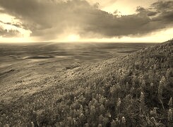 Szary + Sepia