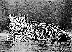Skamielina