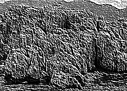 Skamielina