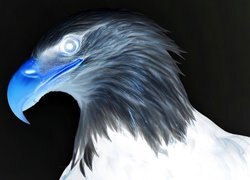 Negatyw