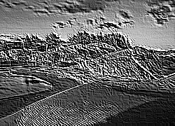 Skamielina