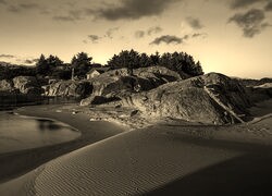 Szary + Sepia