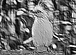 Skamielina