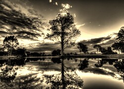 Szary + Sepia