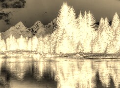 Sepia + Negatyw