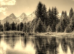 Sepia