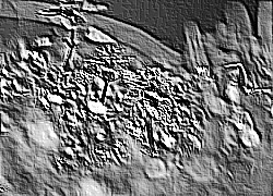 Skamielina