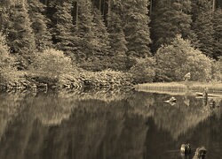 Szary + Sepia