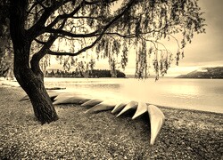 Szary + Sepia