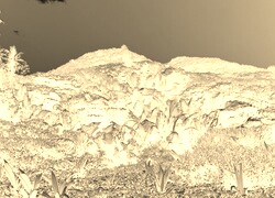 Sepia + Negatyw