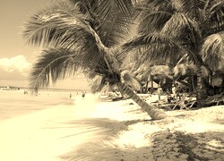 Szary + Sepia