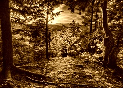 Sepia