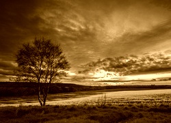 Sepia