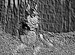 Skamielina