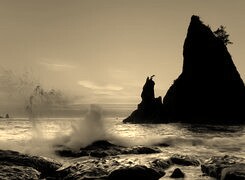 Sepia