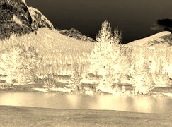 Sepia + Negatyw