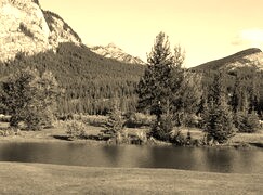 Sepia