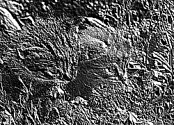 Skamielina