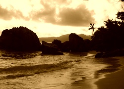 Sepia