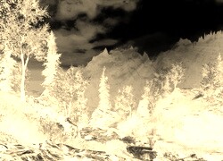 Sepia + Negatyw
