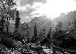 Szary