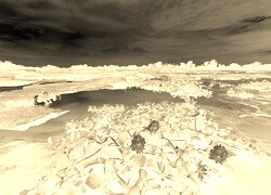 Sepia + Negatyw