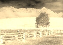 Sepia + Negatyw