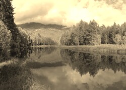 Sepia
