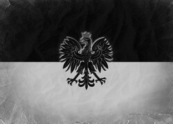 Szary + Negatyw