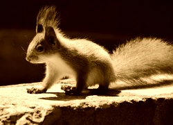 Sepia